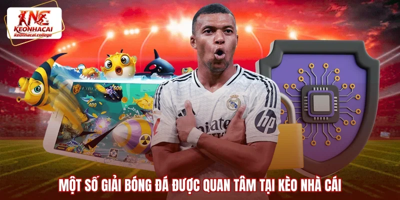 Một số giải bóng đá được quan tâm tại Kèo Nhà Cái