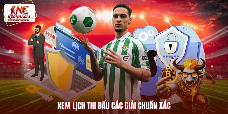 Xem lịch thi đấu các giải chuẩn xác